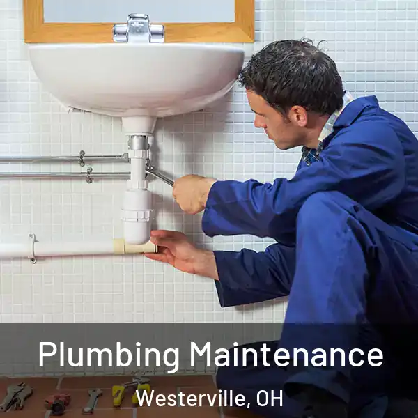  Plumbing Maintenance Westerville, OH