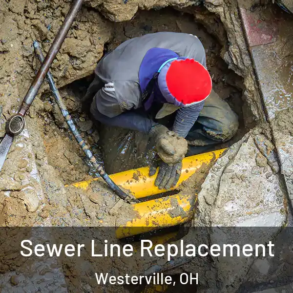  Sewer Line Replacement Westerville, OH